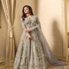 Light Grey Embroidered Georgette Net Anarkali Suit