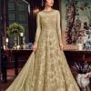 impeccable-lightgreen-color-heavy-net-with-embroidery-stone-work-suit