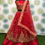 elegant-red-heavy-mono-net-exclusive-wedding-wear-lehenga-choli