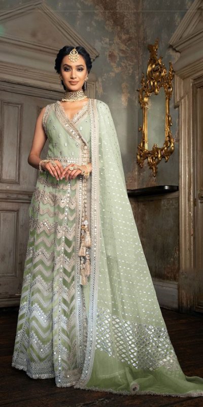 sobia-nazir-light-green-color-heavy-butterfly-net-with-embroidery-work-suit