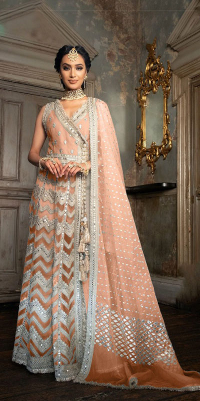 sobia-nazir-orange-color-heavy-butterfly-net-with-embroidery-work-suit