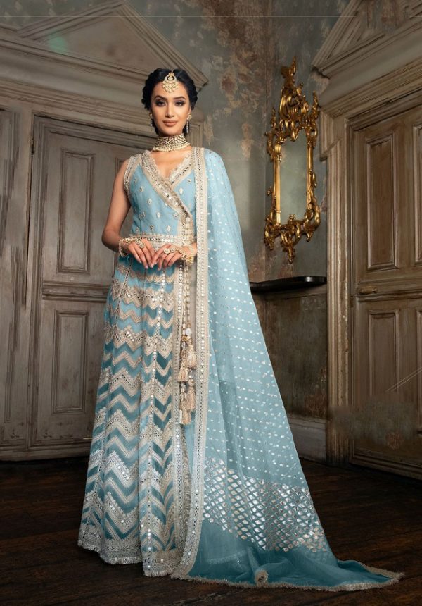 sobia-nazir-sky-blue-color-heavy-butterfly-net-with-embroidery-work-suit