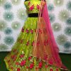 vibrant-light-green-color-heavy-net-exclusive-wedding-wear-lehenga-choli