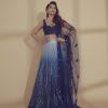 beauteous-madhuri-dixit-in-blue-color-sequence-bollywood-lehenga