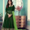 Green Gown Georgette with Embroidery Work