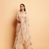 Cream Organza Silk with Embroidery Work Saree