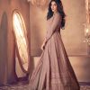 Brown Georgette Santoon Embroidered Designer Suit
