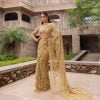 Golden Mono Net Embroidery Work Saree
