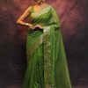 Green Nylon Organza Jacquard Multi Embroidered Saree