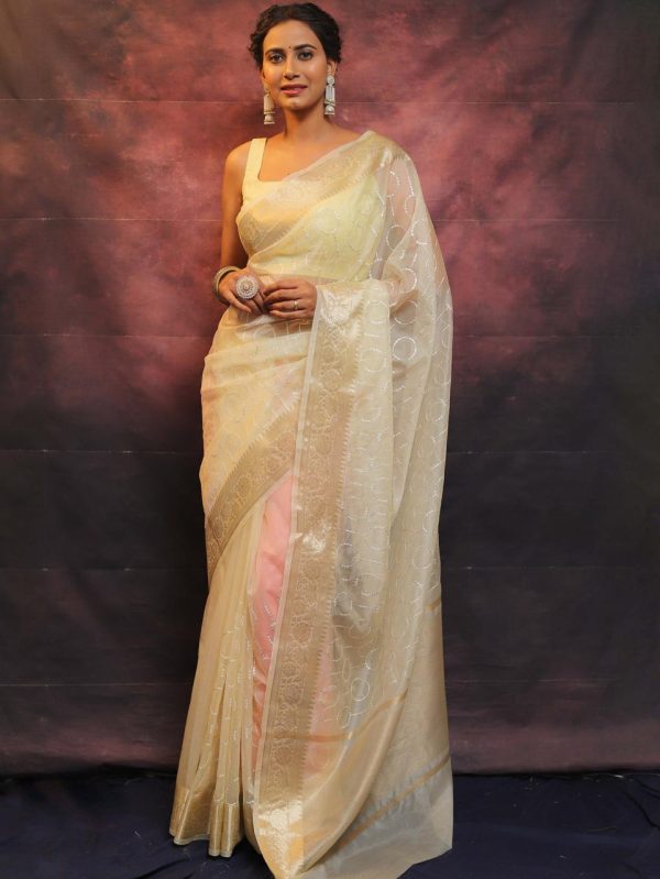 Artful White Nylon Organza Jacquard Multi Embroidered Saree