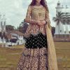 Black Heavy Net Coding sequence Embroidery Lehenga Choli