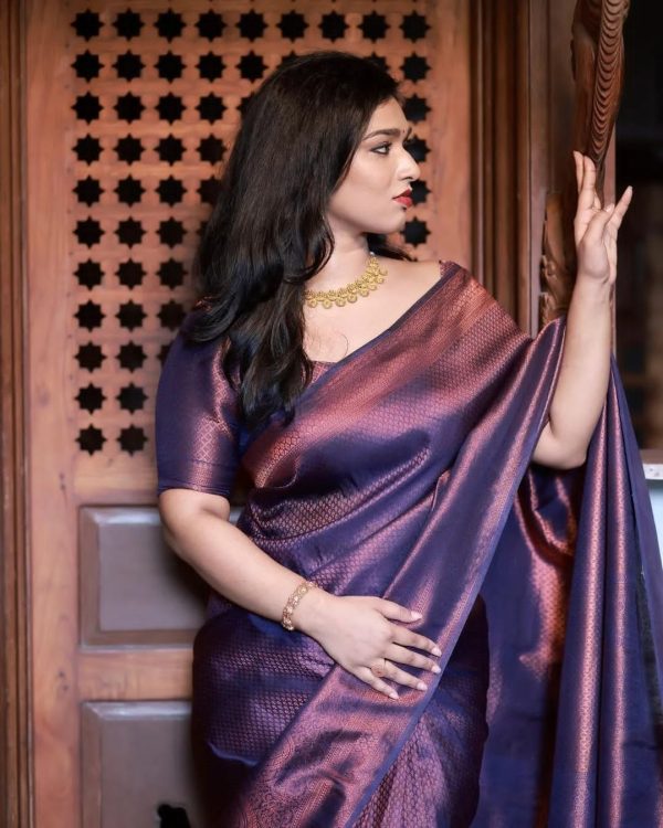 Magnificent Purple Soft Lichi Silk Ordinary Design Rich Pallu Saree