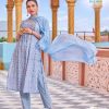 Light Blue Heavy Rayon Embroidery Printed Kurti