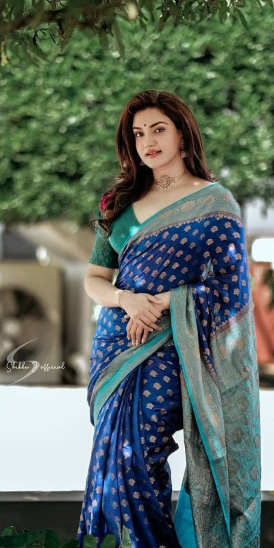 Sublime Royal Blue Color Soft Lichi Silk Beautiful Rich Pallu Saree