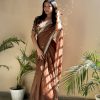 Brown Soft Organza Embroidery Zari Saree