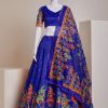 Nice Blue Color Silk Embroidery Sequins Amazing Print Lehenga Choli