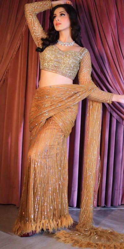 Stylish Golden Color Butter Fly Heavy Net Embroidered Saree