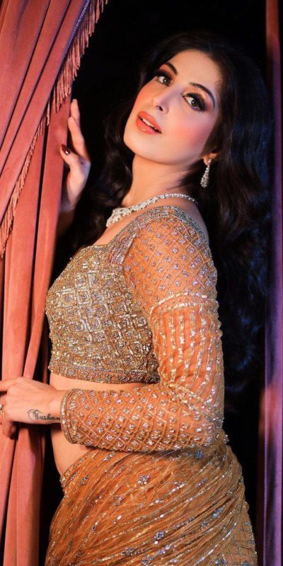 Stylish Golden Color Butter Fly Heavy Net Embroidered Saree