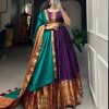 Wine Narayan Pet Zari Weaving Work Gown