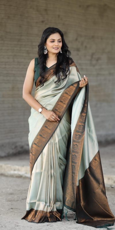 Peaceful Cement Color Soft Silk Beautiful Rich Pallu All Over Saree