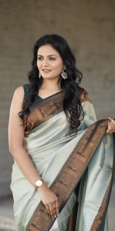 Peaceful Cement Color Soft Silk Beautiful Rich Pallu All Over Saree