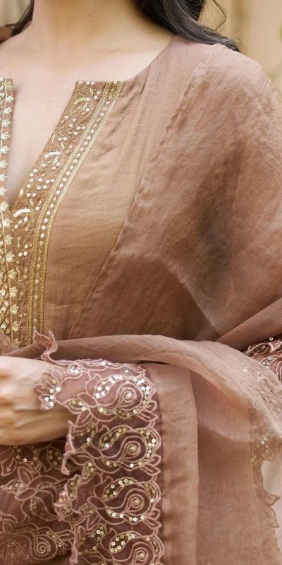 Special Chicco Color Chandhery Silk Embroidery Salwar Suit