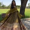 Mehndi Faux Georgette Thread Anarkali Suit