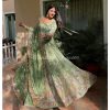 Pista Green Chinnon Embroidery Sequence Gown
