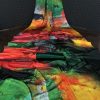 Rainbow Soft Silk Digital Printed Saree