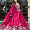Rani Embroidery Georgette Sequence Lehenga Choli