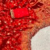 Orange Jacquard Weaving Embroidery Cording Lace Saree