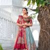 Red Dola Silk Print Zari Border Lehenga Choli