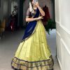 Pista Kanchipuram Zari Weaving Work Lehenga Choli