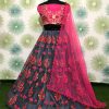 Grey Zari Dorii Embroidery Net Lehenga Choli
