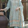 Light Blue Organza With Embroidery Sequence Work Salwar Suit