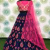Navy Blue Zari Embroidery Net Lehenga Choli