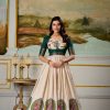 Green Dola Silk Print Weaving Broder Gown
