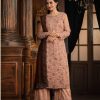 Peach Net With Coding Sequence Work Salwar Suit