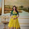 Yellow Dola Silk Print Weaving Broder Gown