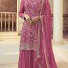 Pink Chinon Embroidery Multi Work Salwar Suit