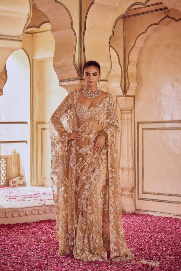 Gold Mono Net Embroidery Print Saree