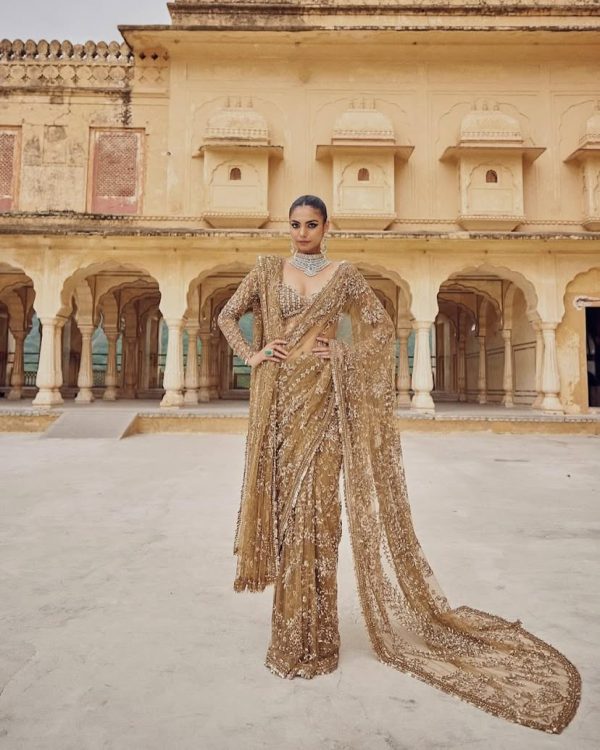 Chiku Mono Net Sequence Saree