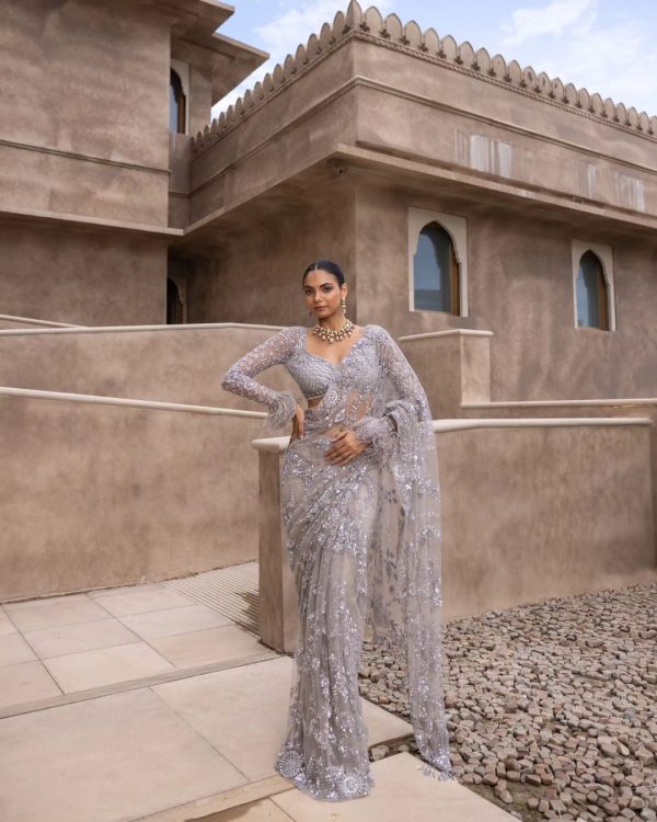Grey Mono Net Embroidery Saree