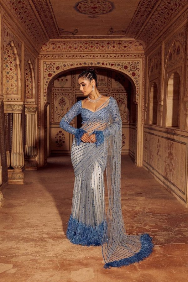 Firozi Mono Net Sequins Saree