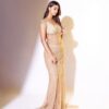 Chiku Mono Net Sequins Saree