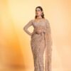 Trendy Cream Butterfly Net Sequence Work Saree