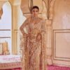 Gold Mono Net Embroidery Print Saree