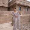 Grey Mono Net Embroidery Saree