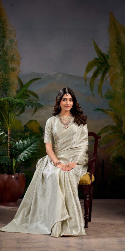 YNF 7404 Off White Color Kanjivaram Zari Weaving Work Saree Casual, Wedding, Festive, Events . Expected Delivery 4-6 Working Days @1599/- only | Sarees, Bollywood Sarees, Creative Sarees, Designer Sarees, Embroidered Sarees, Ethnic Saree, Modern Digital sarees, Party Wear Sarees