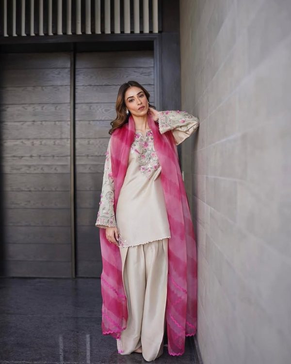 BE 347 Chiku French Crape with Embroidery Work & Lace Work Salwar Suit . Exclusive Offer ₹1849. Delivery 4-6 Working Days. Shop now. | Jump Suits, Salwar suit, Casual Suits, Creative suits, Designer Suits, Palazzo Suits, Party Wear Suits, Patiala Suits, Straight Suits
